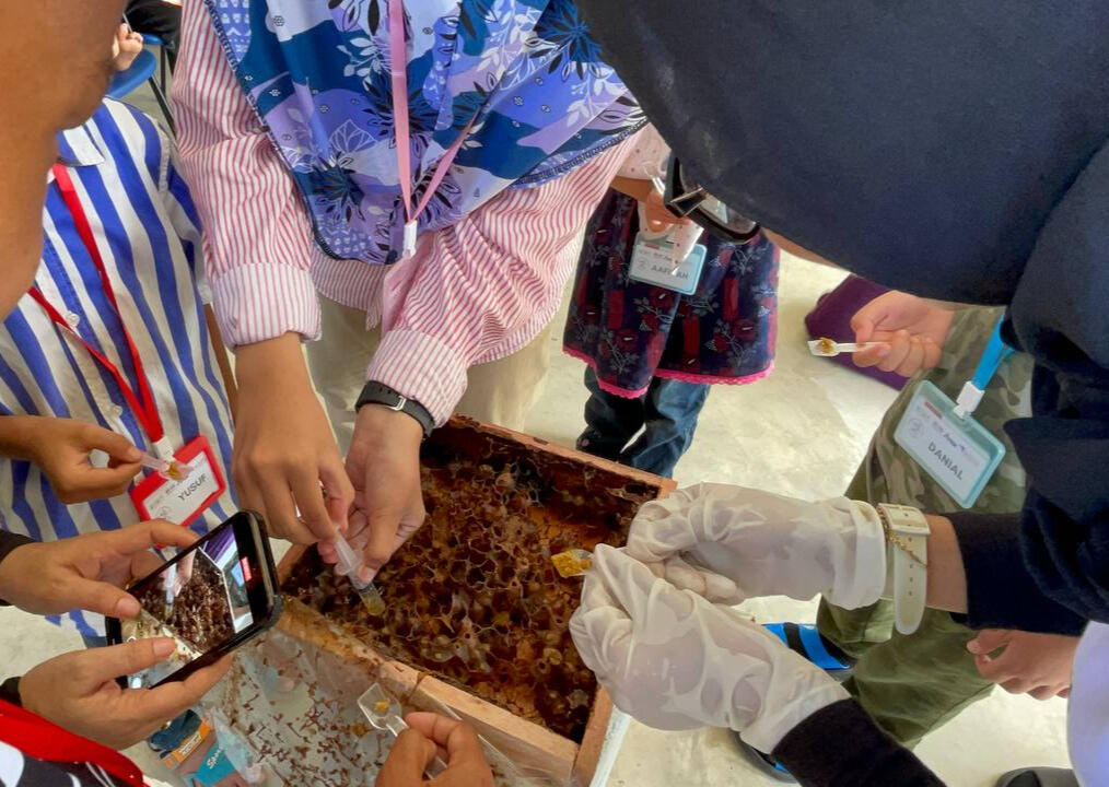 3M STEAM STEM ibubapa Mengapa anak-anak perlukan kumpulan belajar?